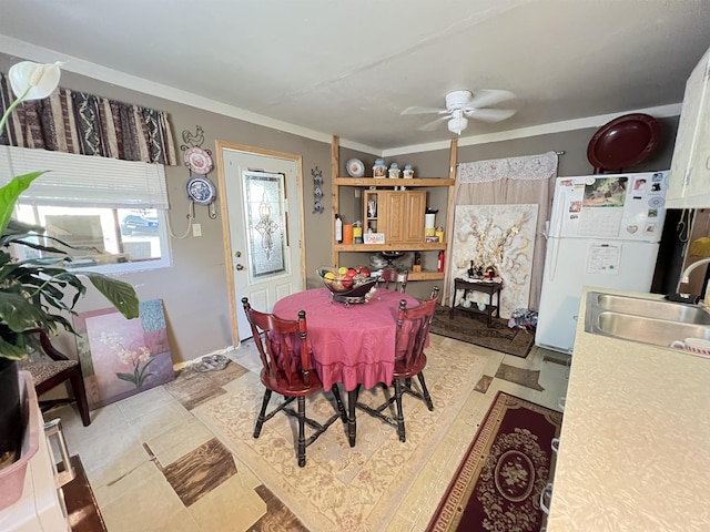 dining room with ceiling fan, crown molding, and sink