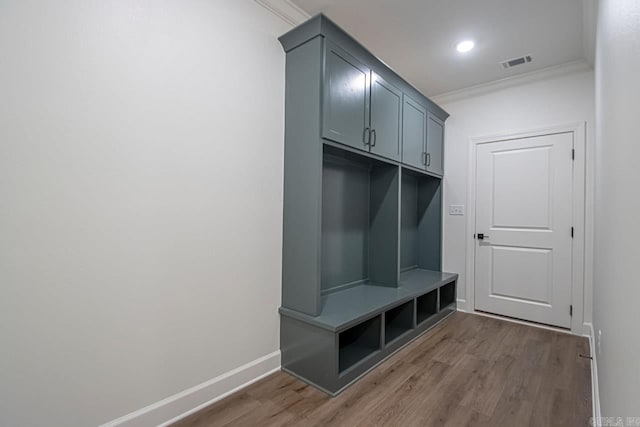 mudroom featuring dark wood-type flooring and crown molding