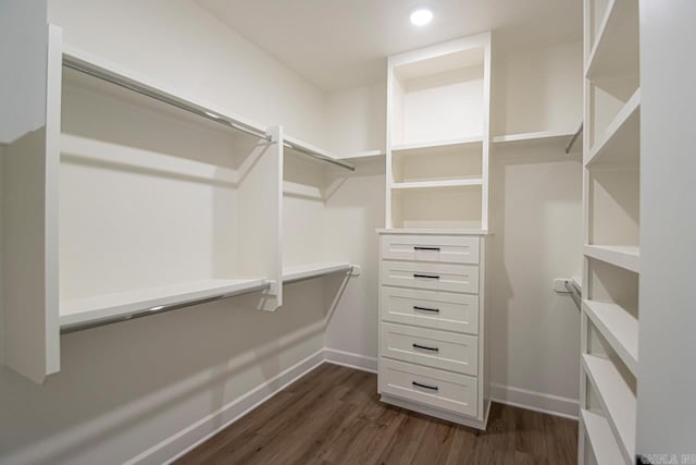 spacious closet featuring dark hardwood / wood-style flooring