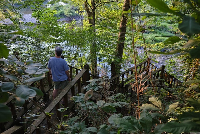 view of nature