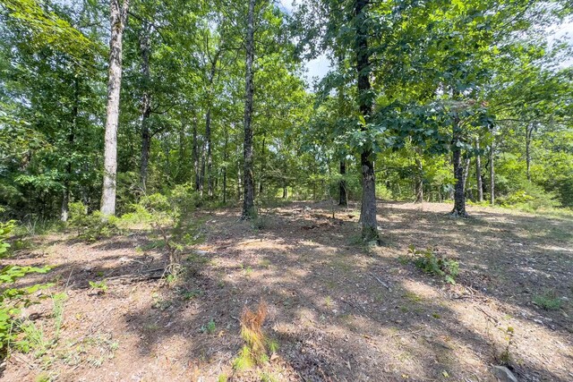 TBD Byrd Vaught, Mena, AR 71953