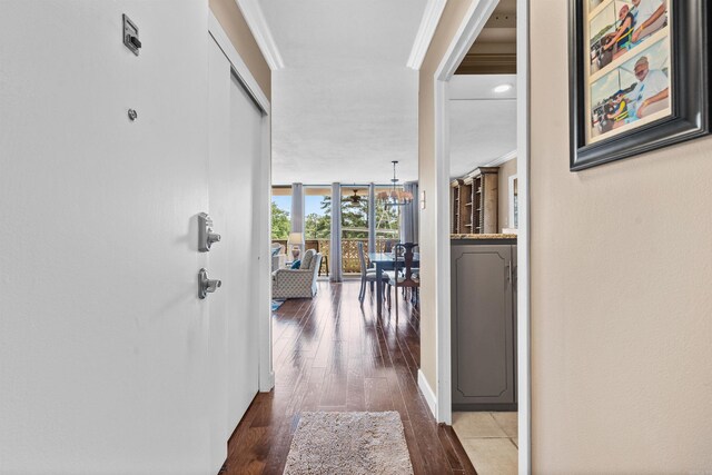 hall featuring dark wood-type flooring, ornamental molding, and a wall of windows