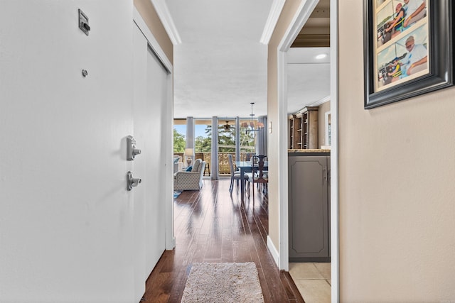 hallway featuring crown molding, floor to ceiling windows, and hardwood / wood-style floors