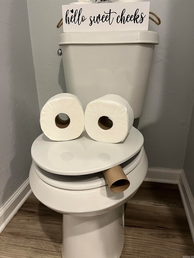 room details with toilet and wood-type flooring