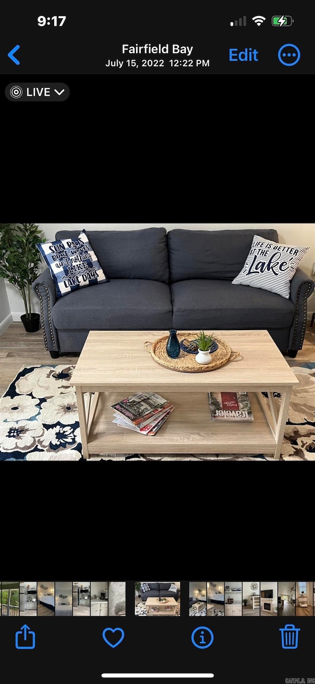 living room with wood-type flooring