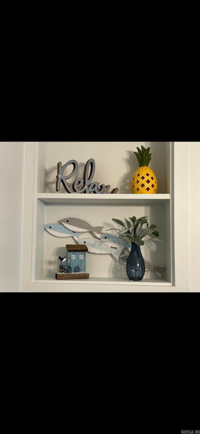 room details with built in shelves