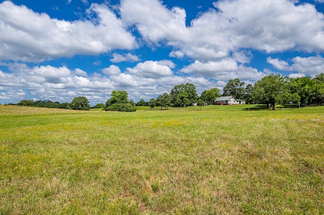 view of yard featuring a rural view