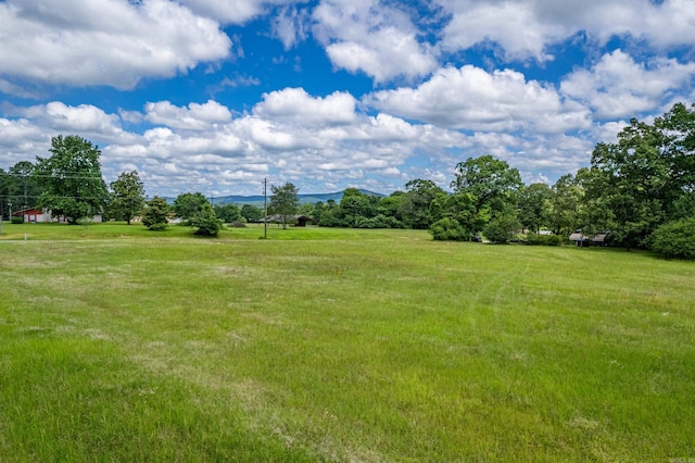 view of yard featuring a rural view