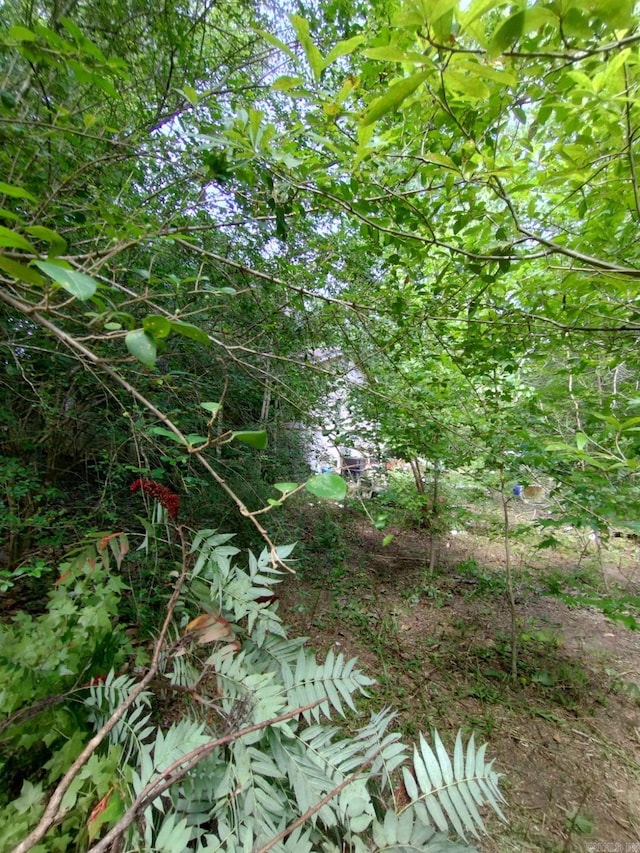 476 Delta Cir, Sheridan, AR 72150
