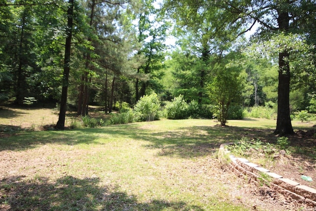152 Hempstead 336, Mccaskill, AR 71847 - view of green lawn featuring a wooded view