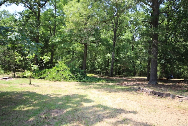 152 Hempstead 336, Mccaskill, AR 71847 - view of yard featuring a wooded view
