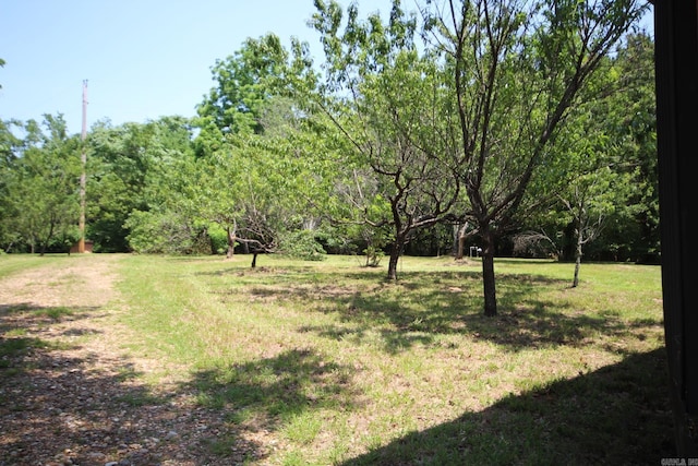 152 Hempstead 336, Mccaskill, AR 71847 - view of green lawn