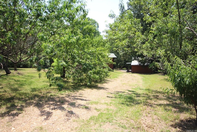 152 Hempstead 336, Mccaskill, AR 71847 - view of grassy yard