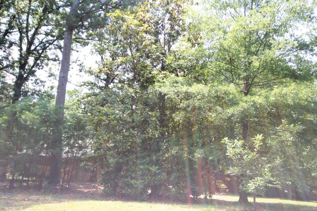 152 Hempstead 336, Mccaskill, AR 71847 - view of yard with a forest view