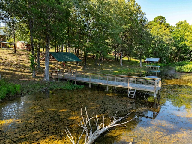 dock area with a water view