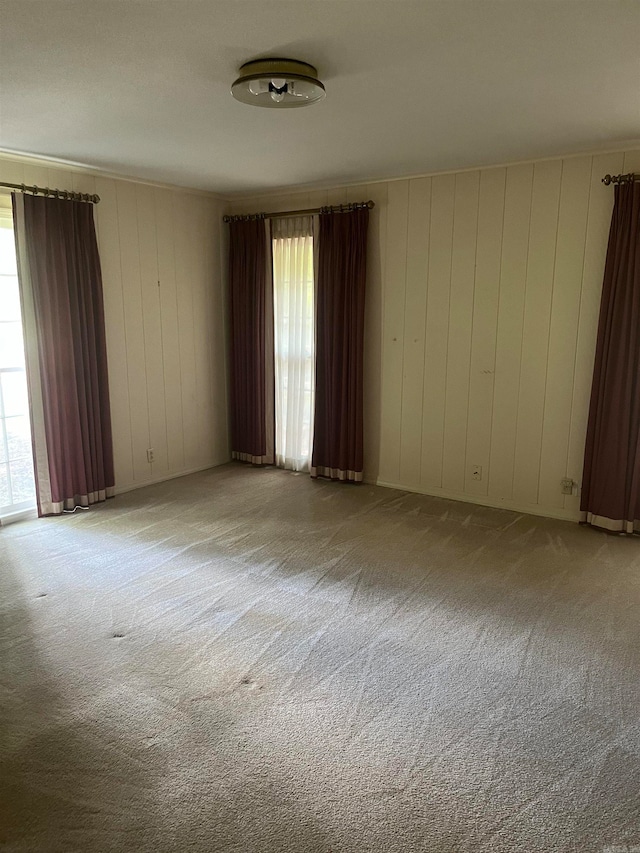 spare room featuring carpet flooring