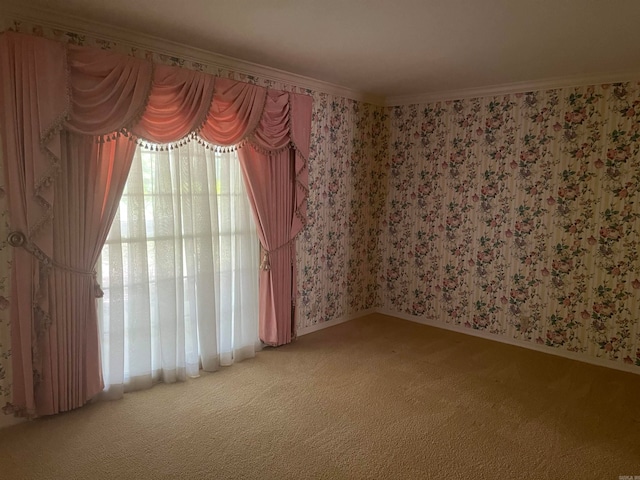 spare room with ornamental molding and carpet floors