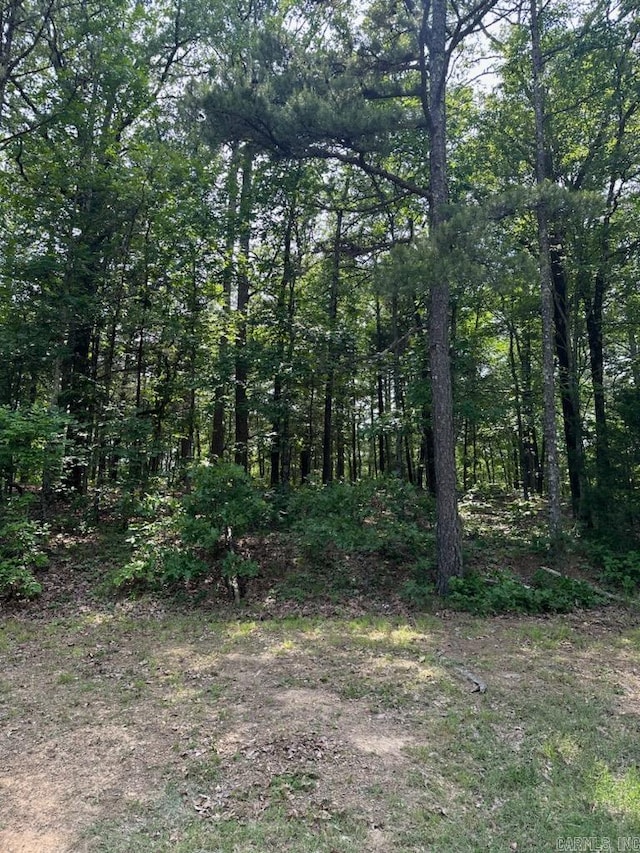 LOT91BLOCK15 Dave Creek Pkwy, Fairfield Bay AR, 72088 land for sale