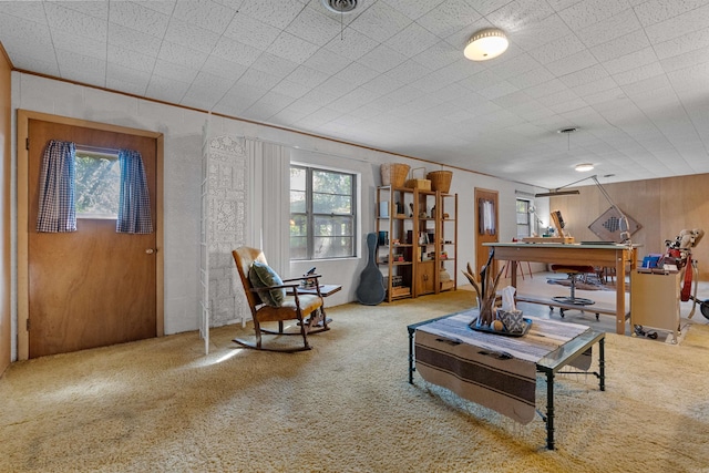 living room featuring carpet and wooden walls