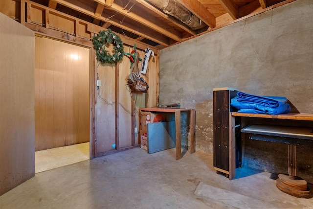 basement with wood walls