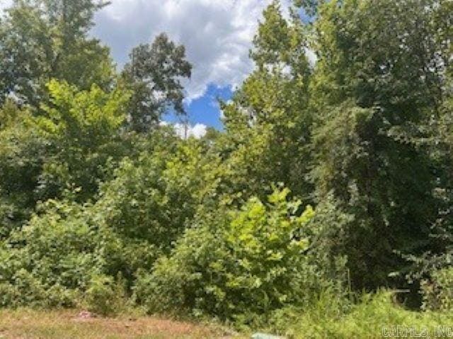 Address Not Disclosed, Lonsdale AR, 71909 land for sale