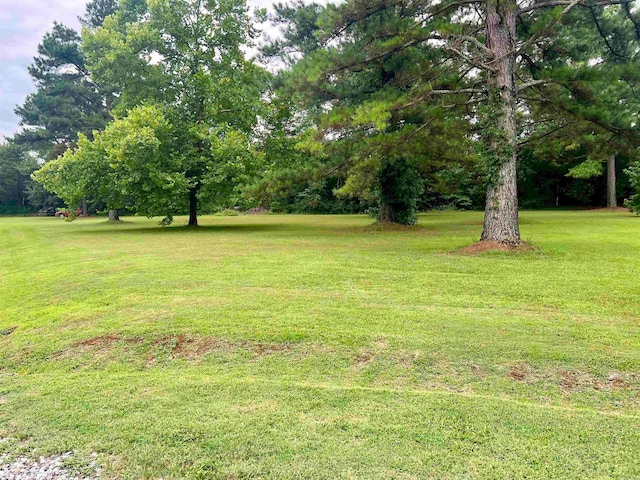 Listing photo 2 for 0000 Mountain Side Dr, Pangburn AR 72121