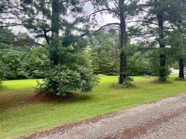 Listing photo 2 for 100 Mountain Side Dr, Pangburn AR 72121