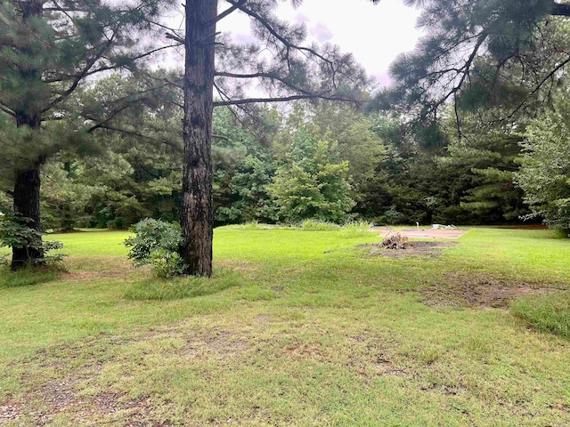 Listing photo 3 for 100 Mountain Side Dr, Pangburn AR 72121