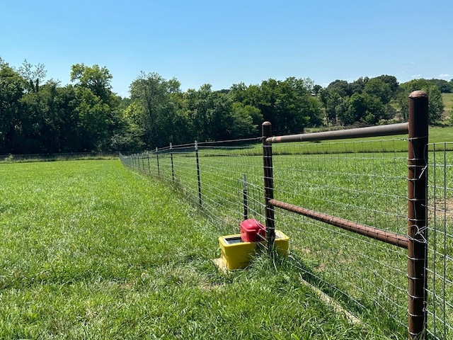 view of yard with a rural view