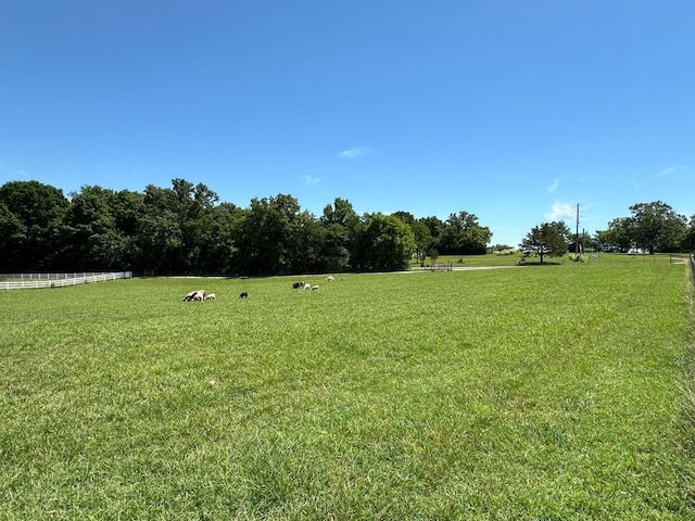 view of yard featuring a rural view