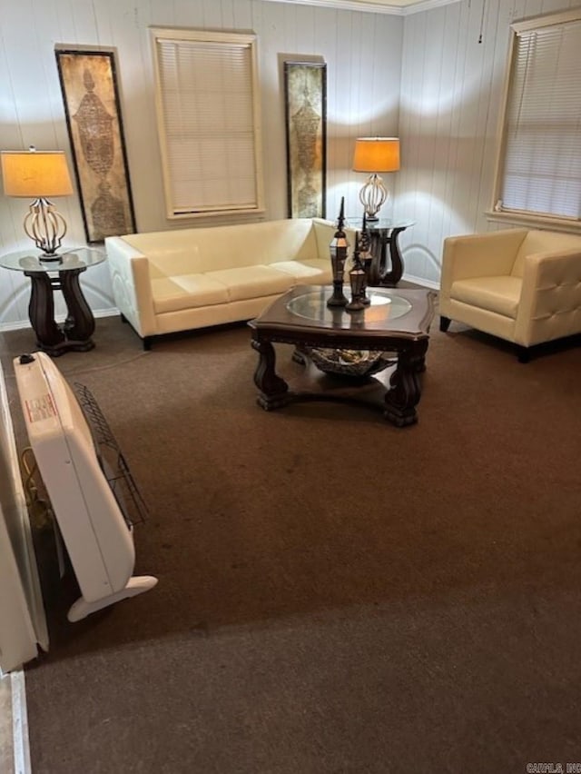 404 S Oak St, Fordyce, AR 71742 - unfurnished living room with ornamental molding and carpet flooring