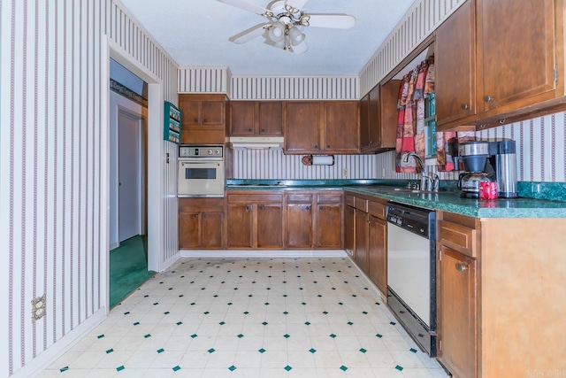 kitchen with ceiling fan, dishwasher, sink, wall oven, and cooktop