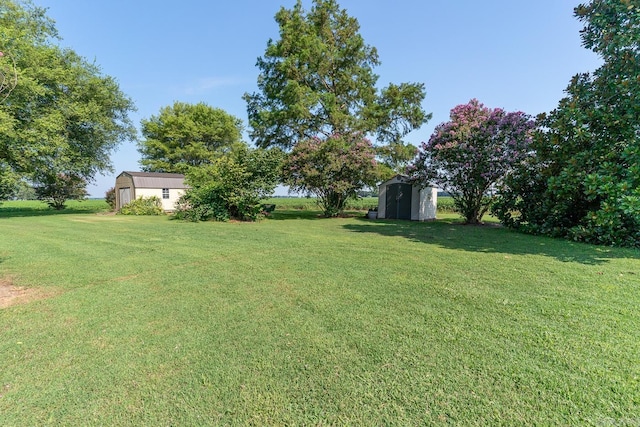 view of yard featuring a shed