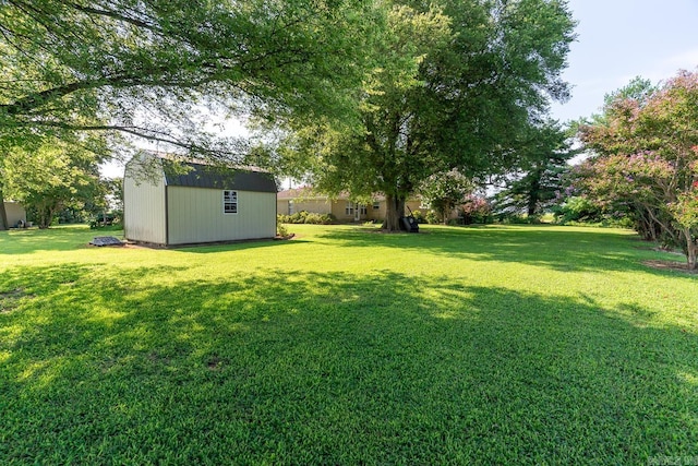 view of yard with a storage unit