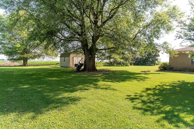 view of yard featuring a storage shed