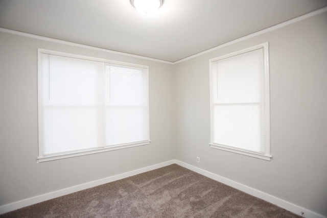 spare room featuring ornamental molding and carpet