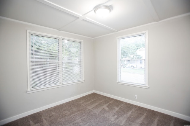 spare room featuring plenty of natural light and carpet floors