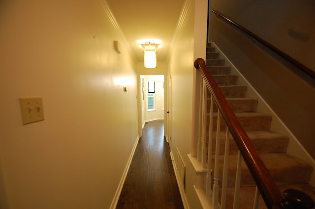 interior space with crown molding and wood-type flooring