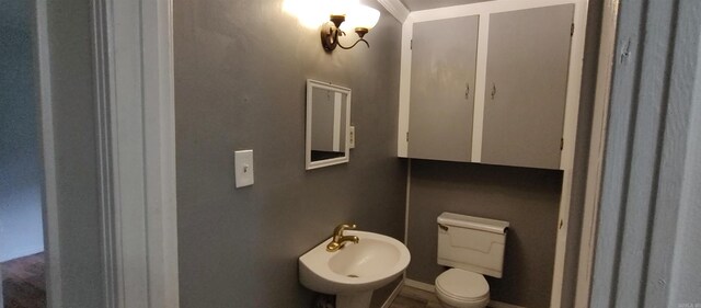 bathroom with toilet and sink