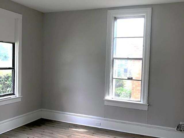 spare room featuring dark hardwood / wood-style flooring and a healthy amount of sunlight