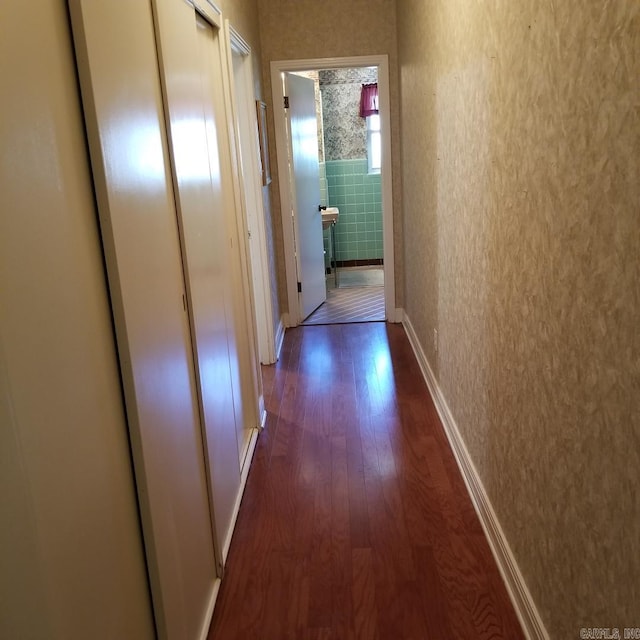 hall with dark hardwood / wood-style flooring