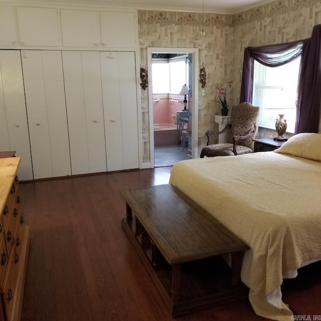 bedroom featuring connected bathroom and dark hardwood / wood-style floors