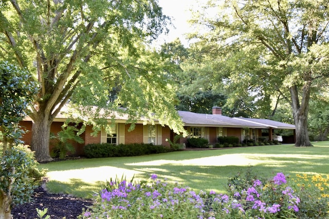 view of front of home featuring a front lawn