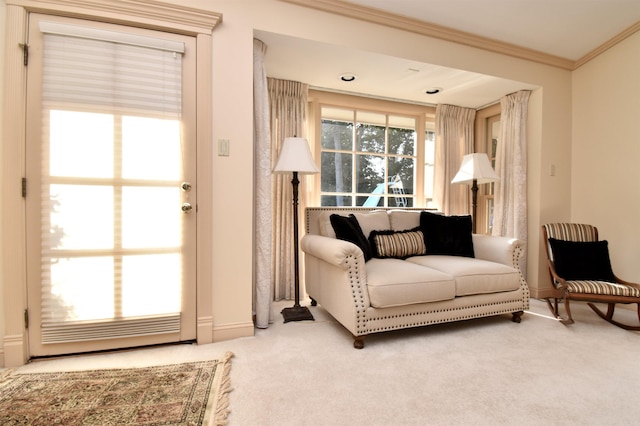 living area featuring ornamental molding and carpet flooring