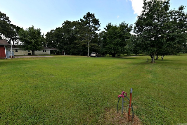 view of yard