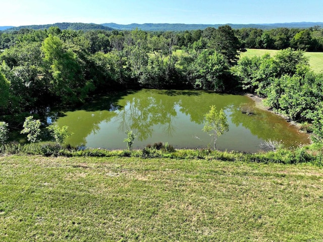 view of water feature