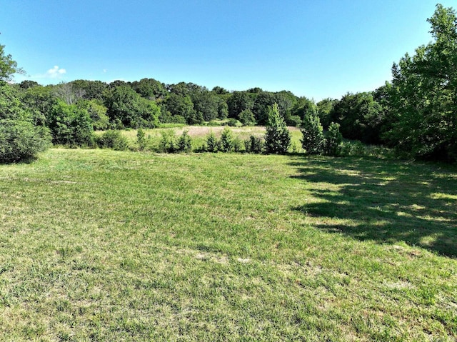 view of yard with a rural view