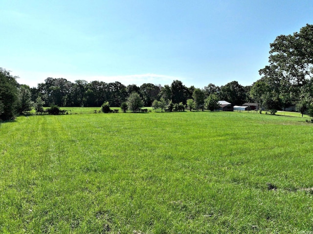 view of yard with a rural view