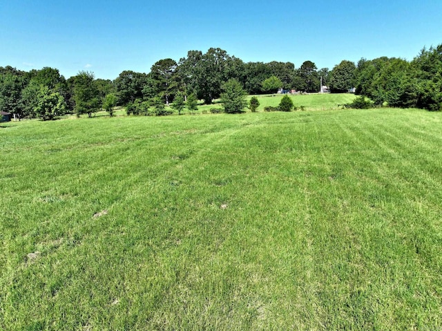 view of yard with a rural view