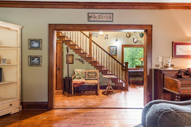 foyer entrance with wood-type flooring